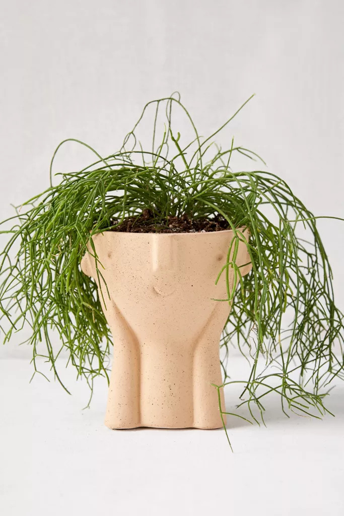 Hector Face 3.5" Planter | Urban Outfitters (US and RoW)
