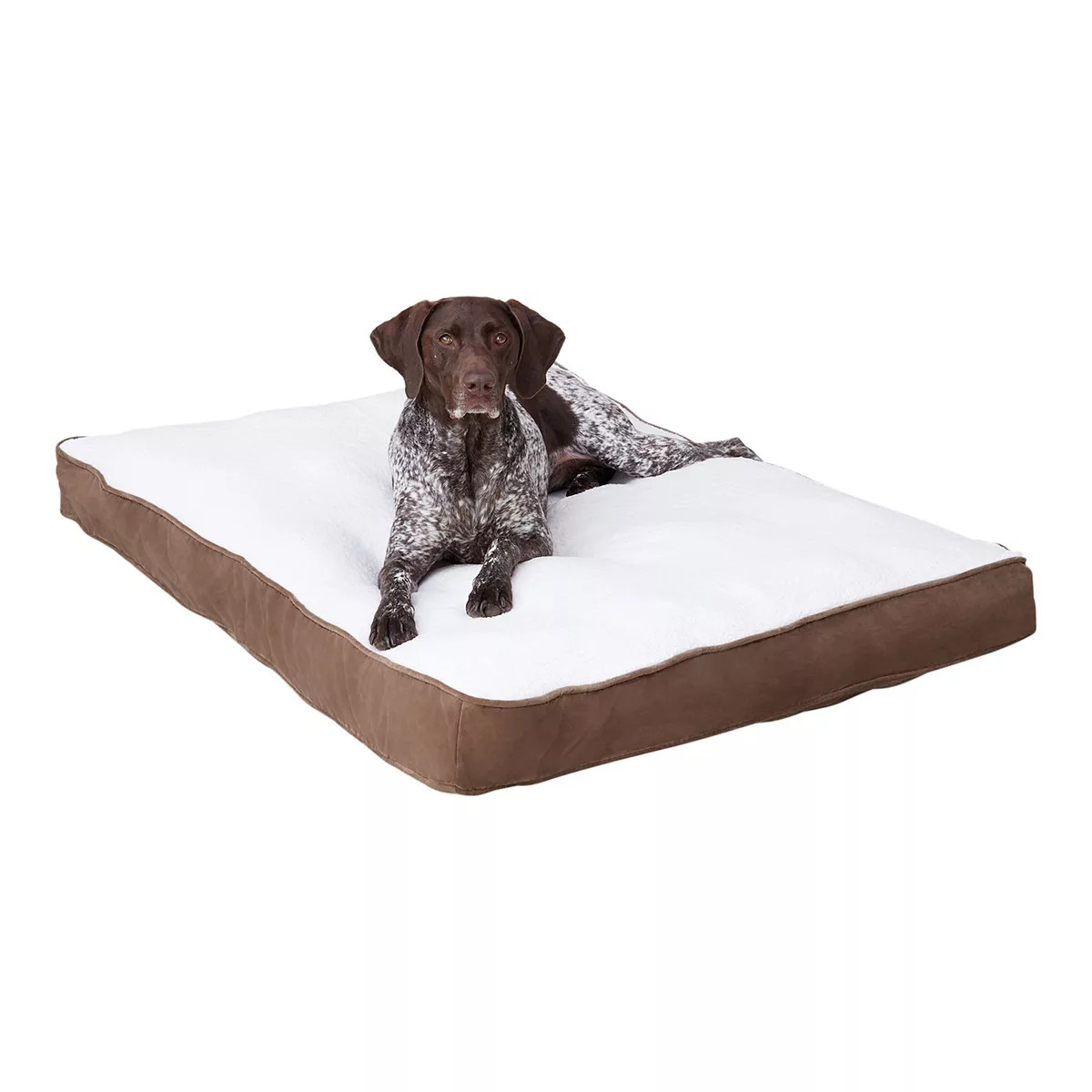 Happy Hounds Daisy Deluxe Orthopedic Pet Bed | Kohl's