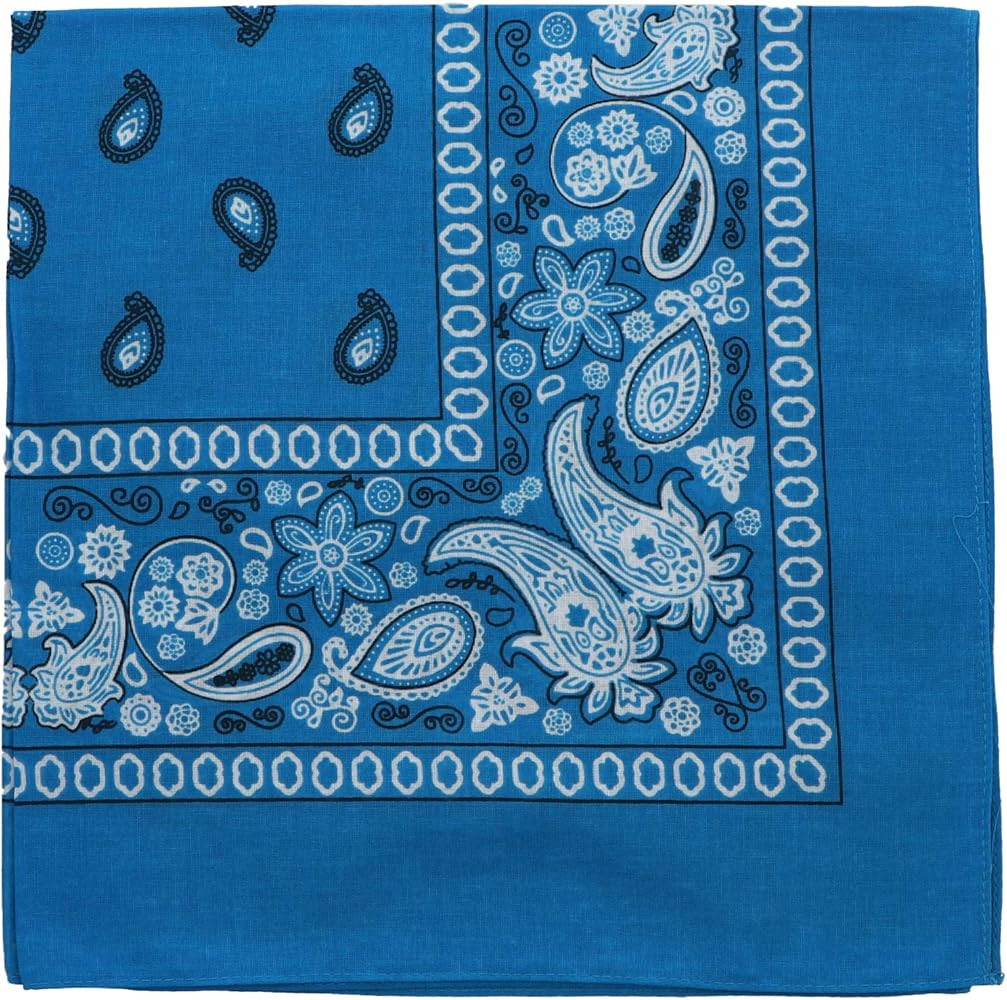 Motique Accessories 22 Inch Cotton Paisley Bandana | Amazon (US)