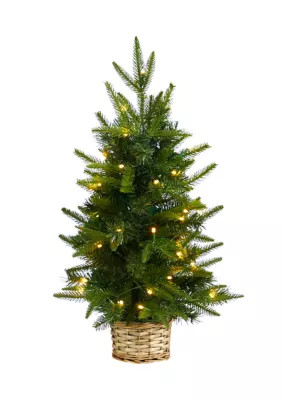 Nearly Natural 2 Foot Artificial Christmas Tree with 35 Clear LED Lights in Decorative Basket | Belk