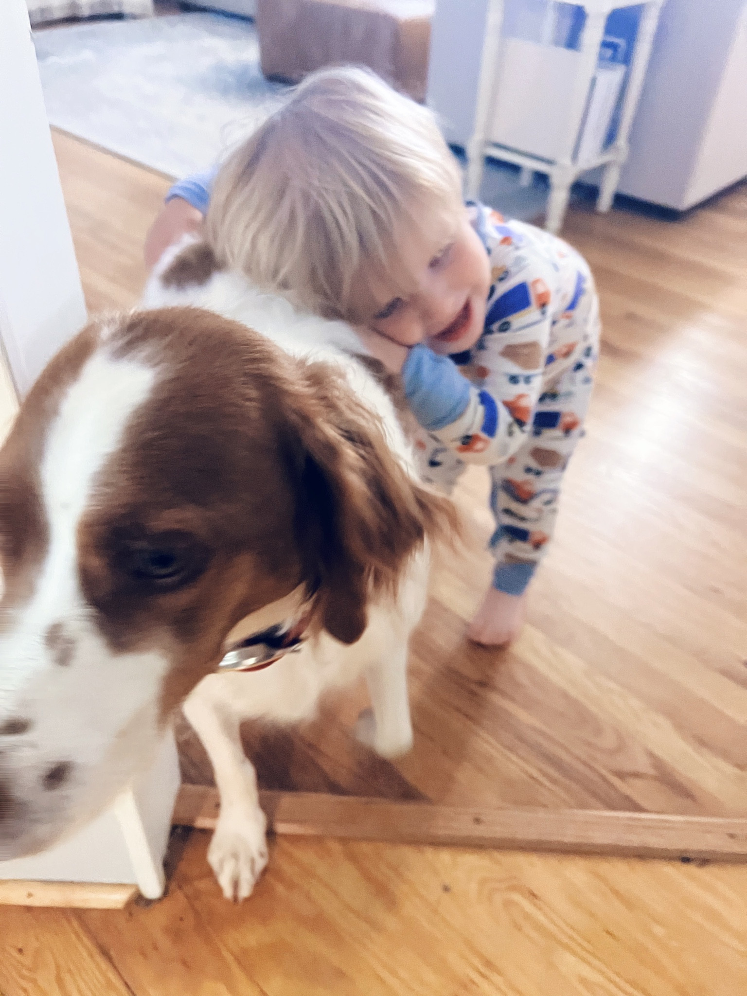 #judsonandred - the inseparable duo 👼🏼🤍🐶 only fitting that Judson’s birthday is this Saturday, and Red’s is Monday… just 2 days apart 🥹🫶🏽 we brought baby Judson home from the hospital on red’s birthday and I’m in all the feels about that - #meanttobe 🥰 