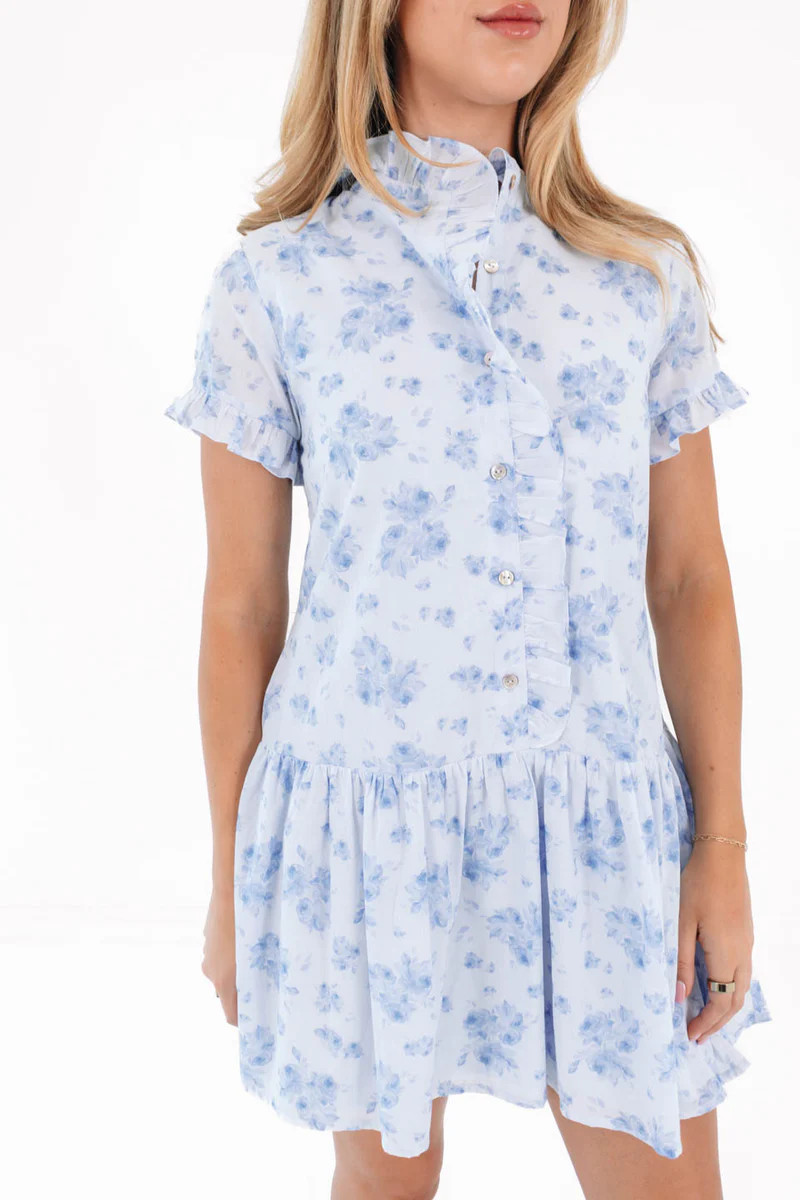 The Nicole Ruffle Button Up Dress - Blue | The Impeccable Pig
