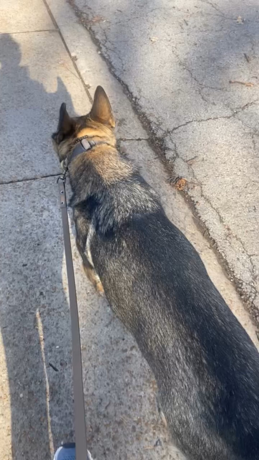 Finally getting to move  after a week of being sick 




#LTKselfcare #LTKdayinmylife #LTKstorytime