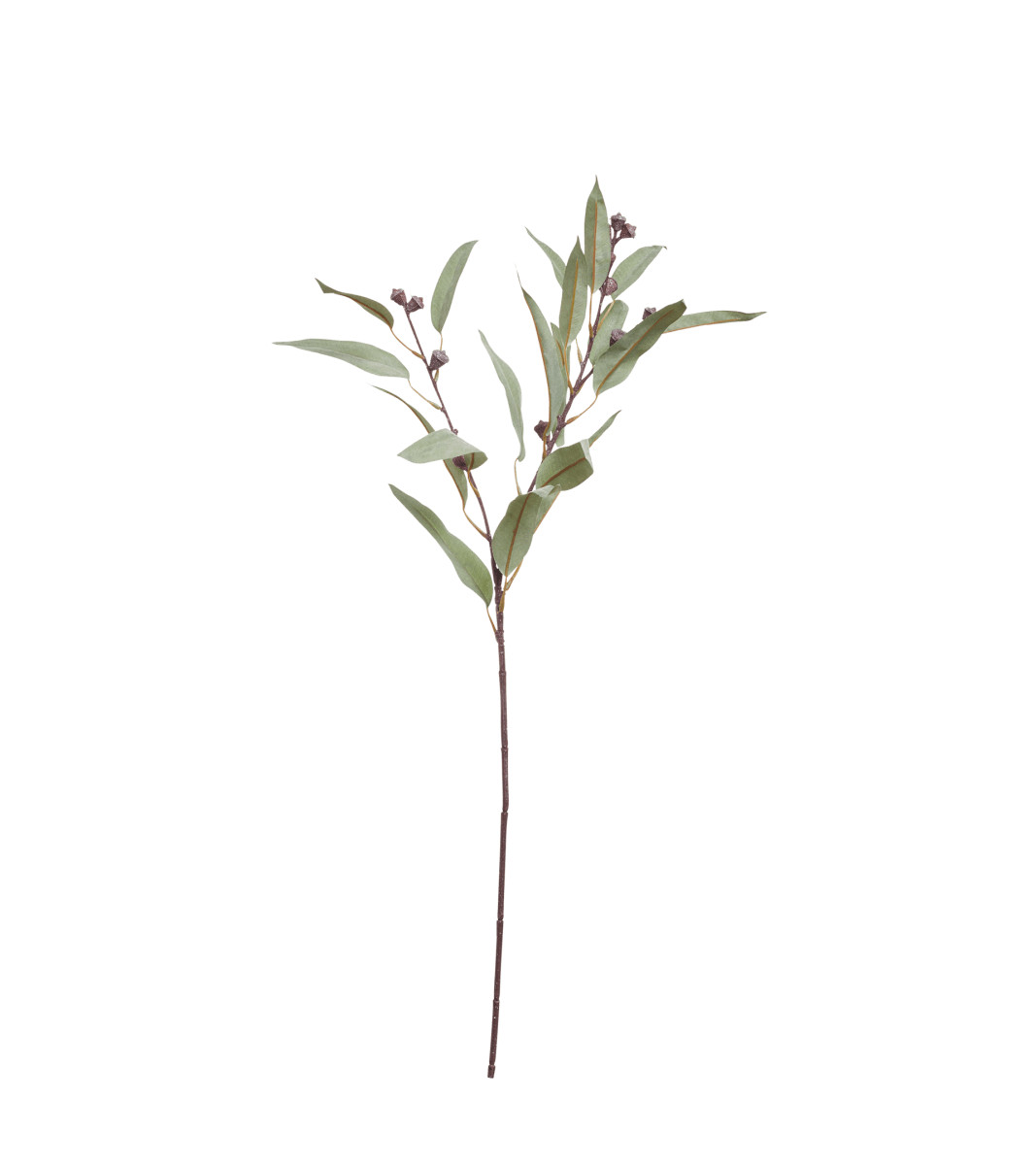 Faux Gumnut Eucalyptus Stem - Pale Green | OKA UK
