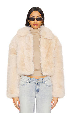 BLANKNYC Crop Faux Fur Jacket in Gram Momen from Revolve.com | Revolve Clothing (Global)