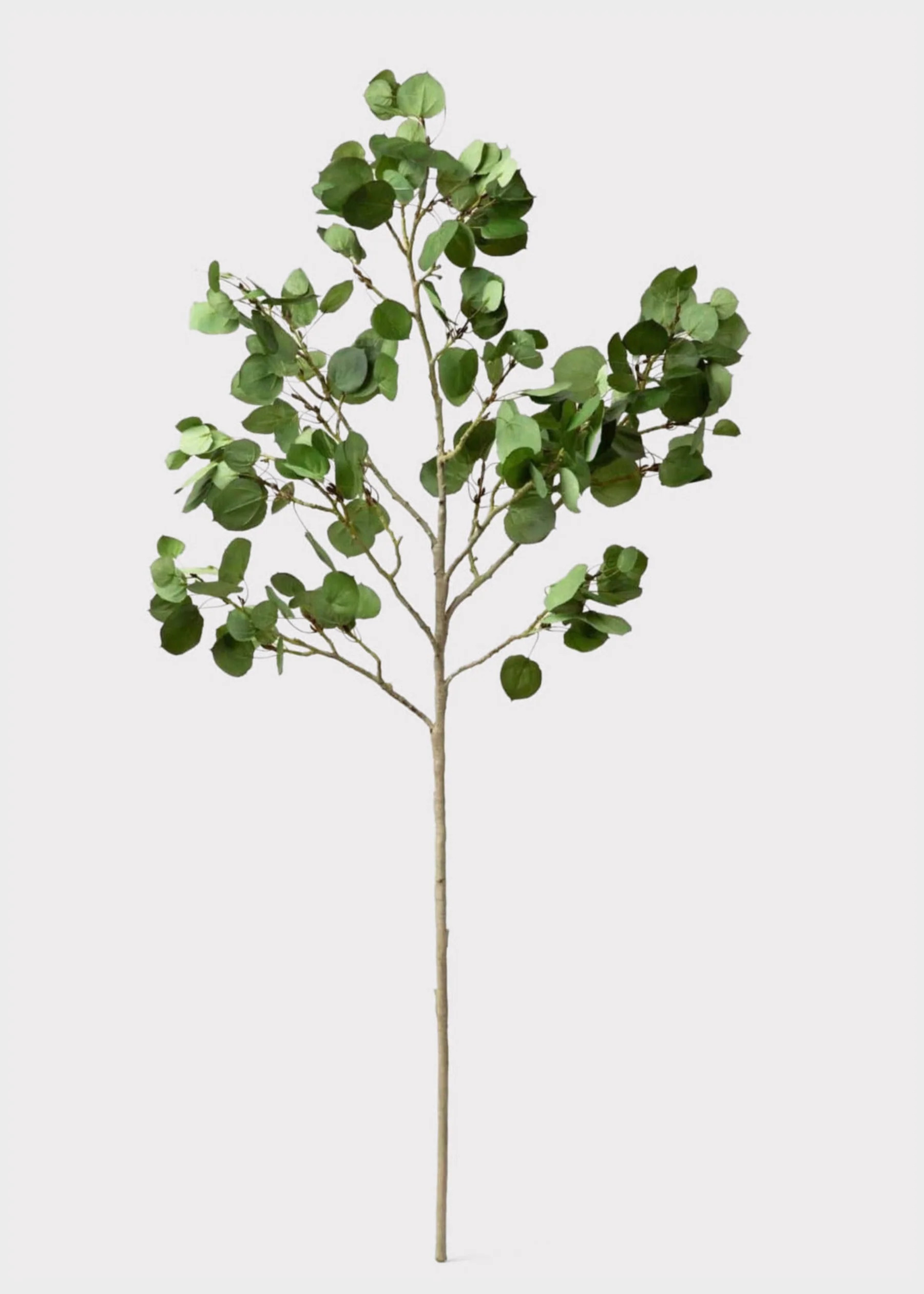 Tall Aspen Leaf Branch | Artificial Leaves & Greenery Stems | Afloral | Afloral