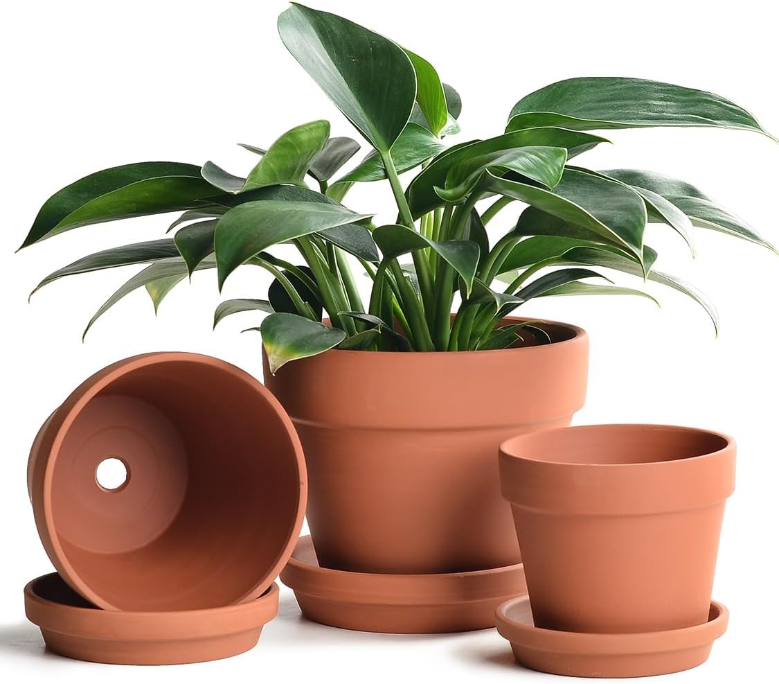 INGOFIN Terracotta Pots Set with Saucer - 5/6/7 inch Ceramic Clay Planters with Drainage Hole, Ga... | Amazon (US)