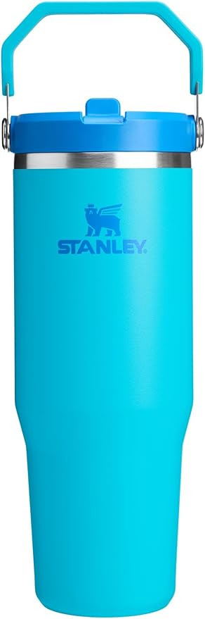 Stanley IceFlow 2.0 Flip Straw Tumbler with Handle 30 oz | Twist On Lid and Flip Up Straw | Leak ... | Amazon (US)