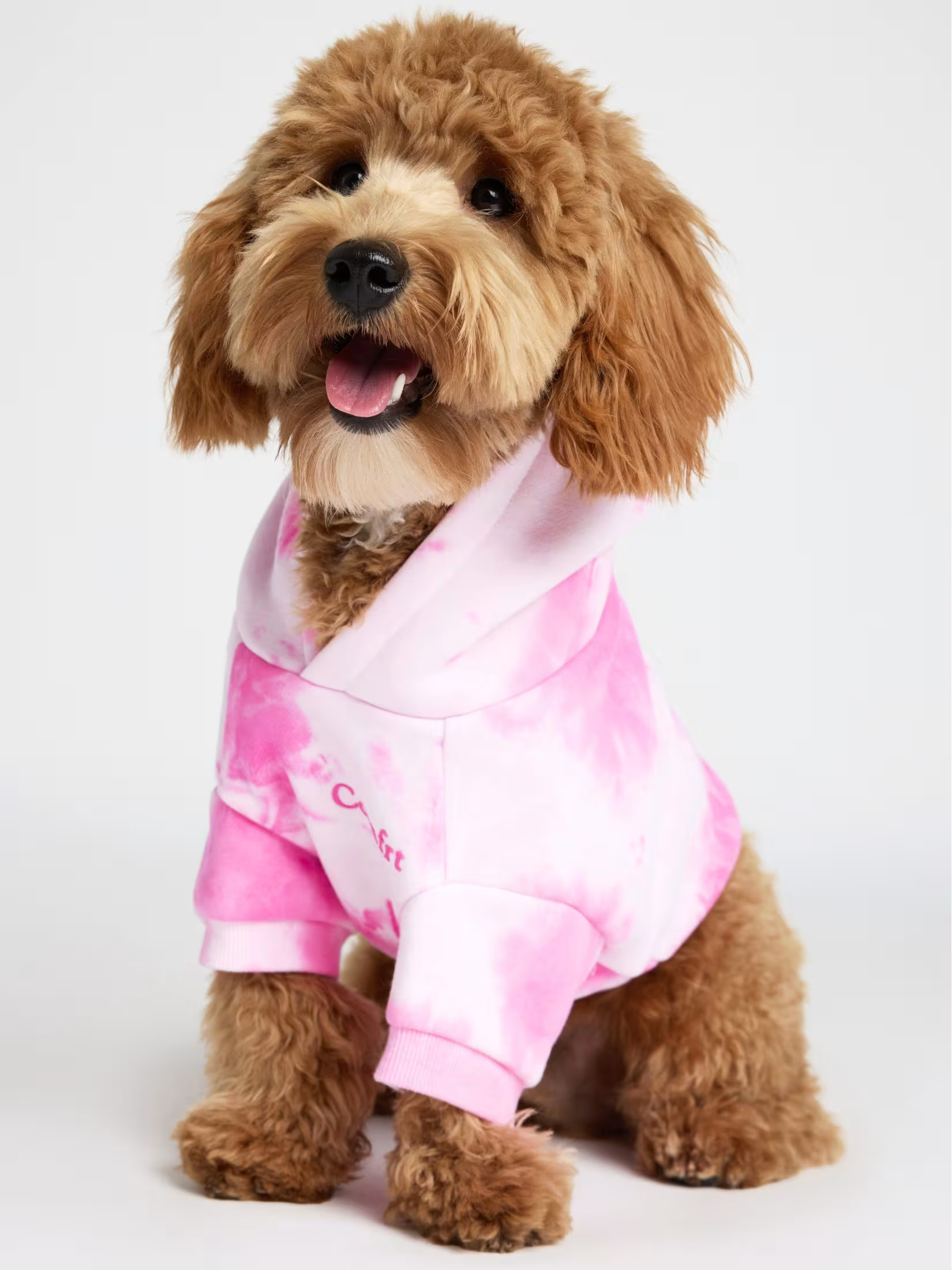 Minimalist Paw Hoodie — Comfrt | Comfrt