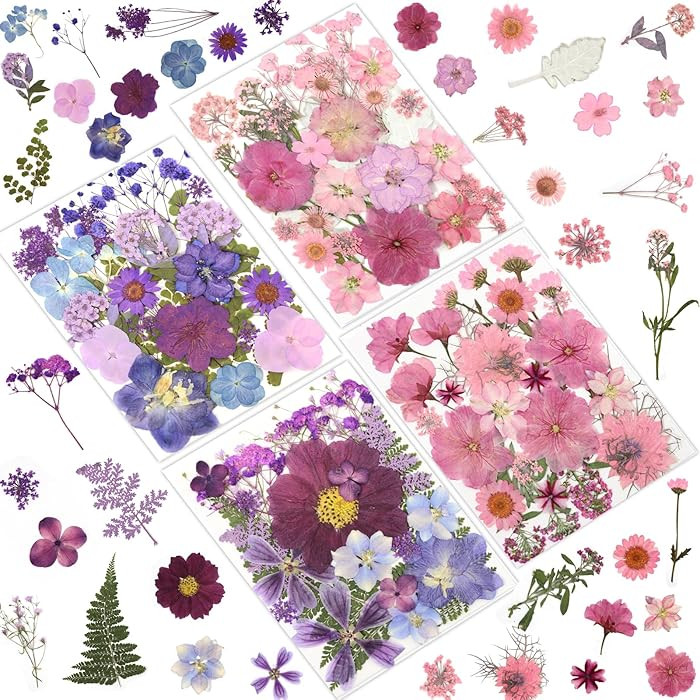 100 Pcs Dried Pressed Flowers for Crafts, Preserved & Dehydrated in Pink/Purple/Blue for Resin Ar... | Amazon (US)