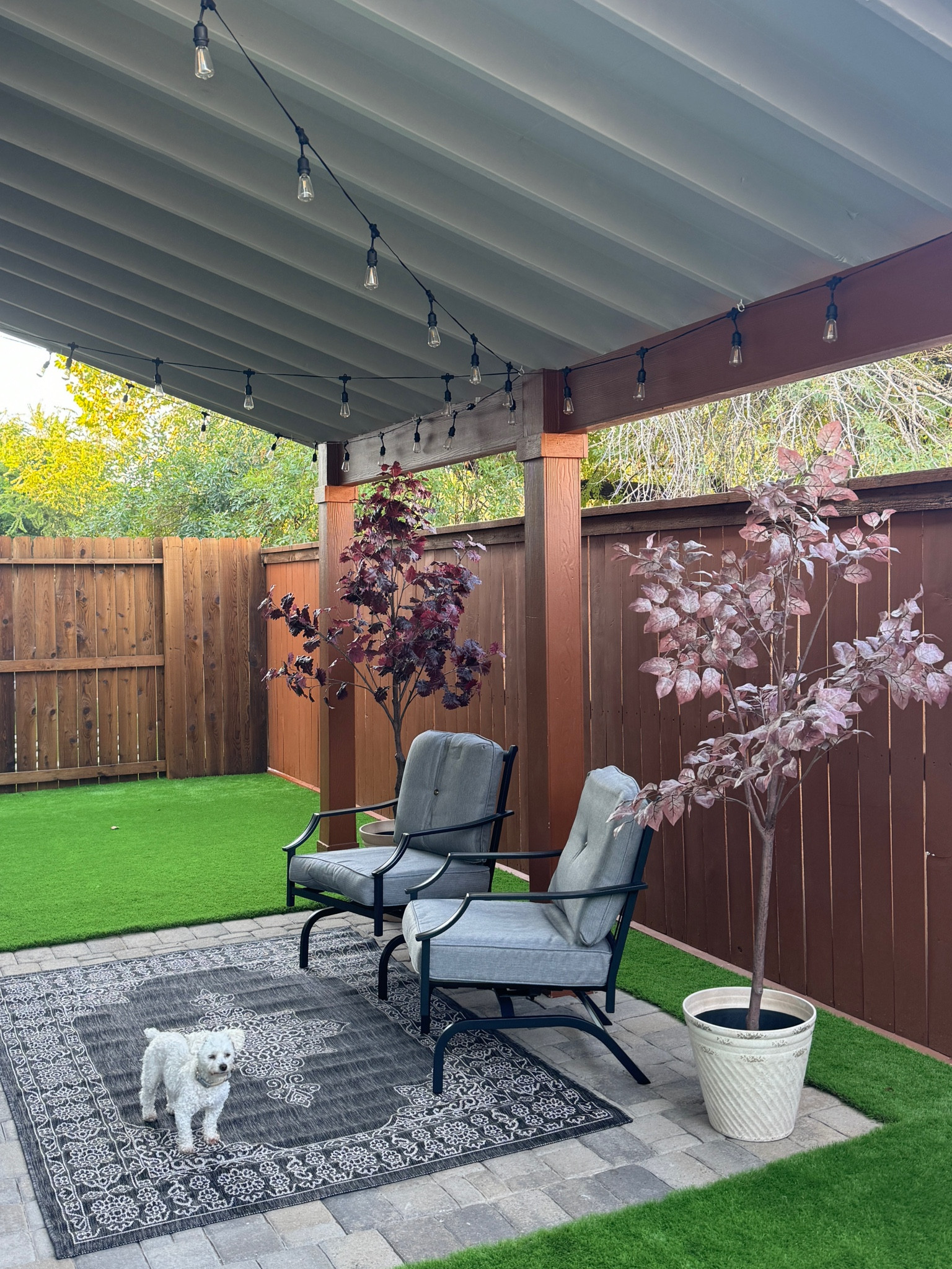 These faux trees are on sale and so beautiful! They fall colors but I plan to use them year round. 

#everypiecefits

Patio decor
Patio furniture
Outdoor rug
Faux plants
Fall plants
Fall decor 

#LTKSeasonal #LTKHome #LTKHalloween