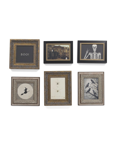 6pc Curated Curiosities Wall Art Set | TJ Maxx