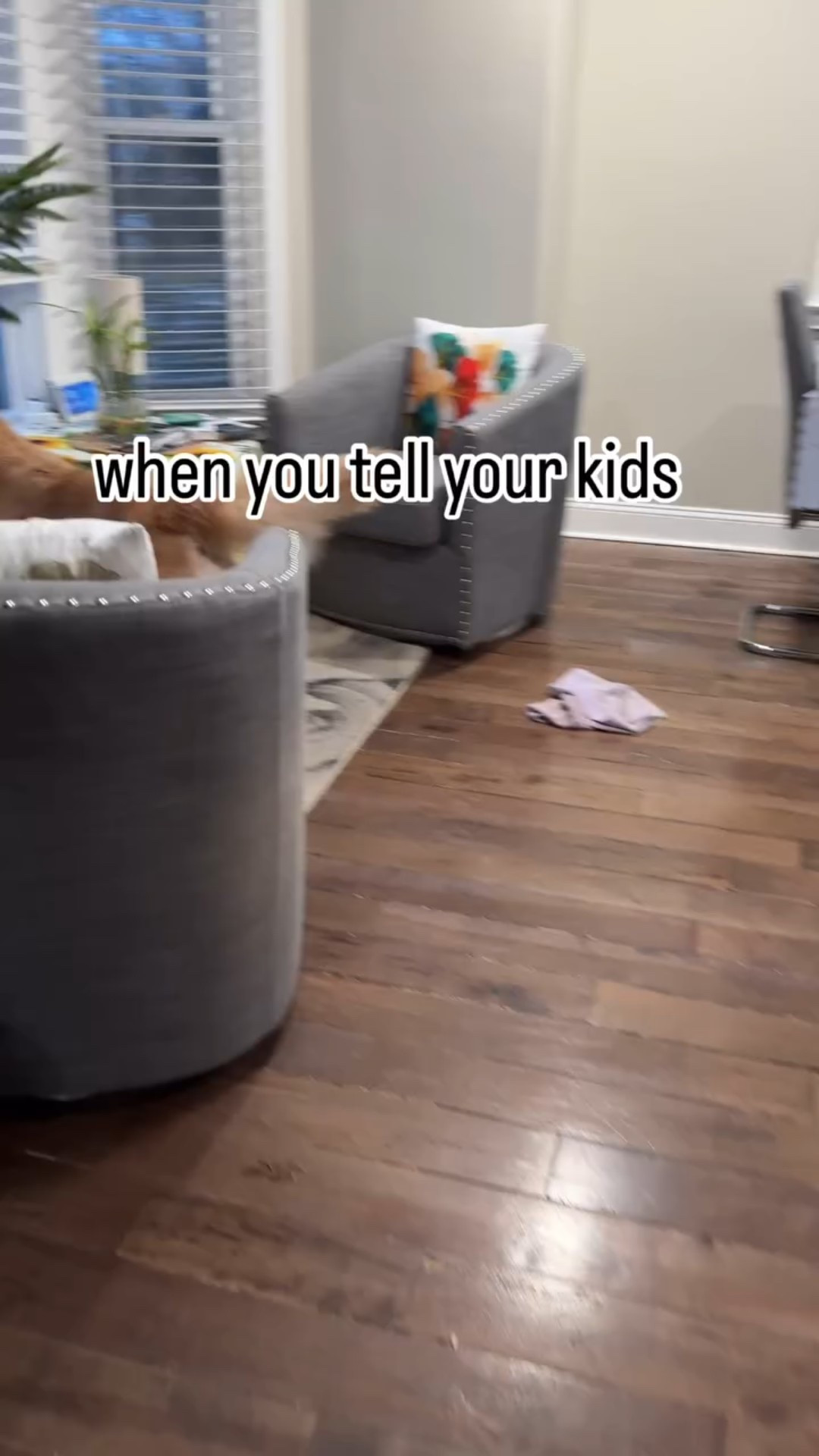 Dog Mom Life 😂🤦🏻‍♀️ with @justchillmydog 
———
Subscribe Youtube - https://www.youtube.com/c/PamDSouza 

Instagram - https://www.instagram.com/justchillwithpam

#dogmom #dogmomlife #goldenretriever #funny #dogs #pets #pamdsouza