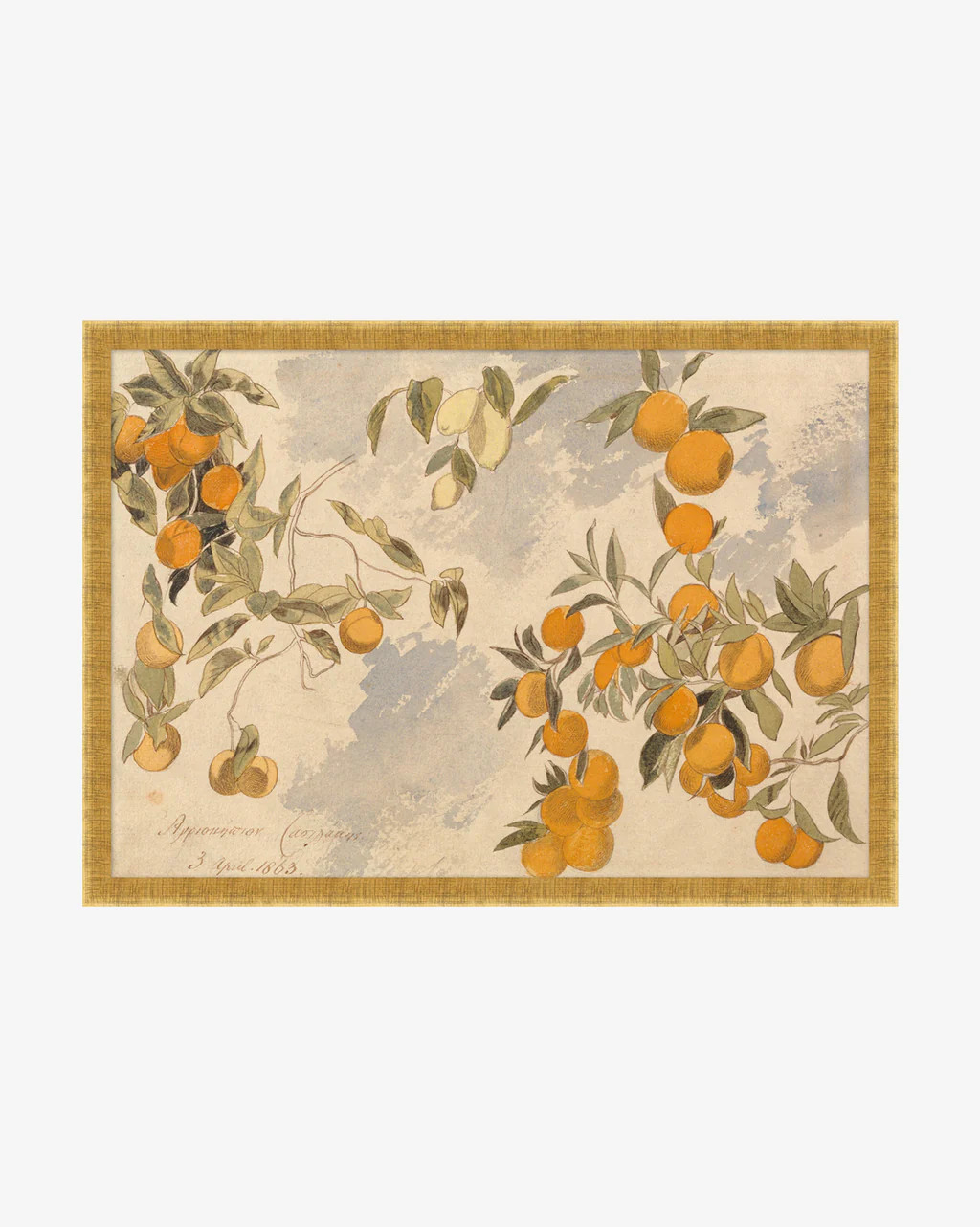 Lemons & Oranges | McGee & Co.