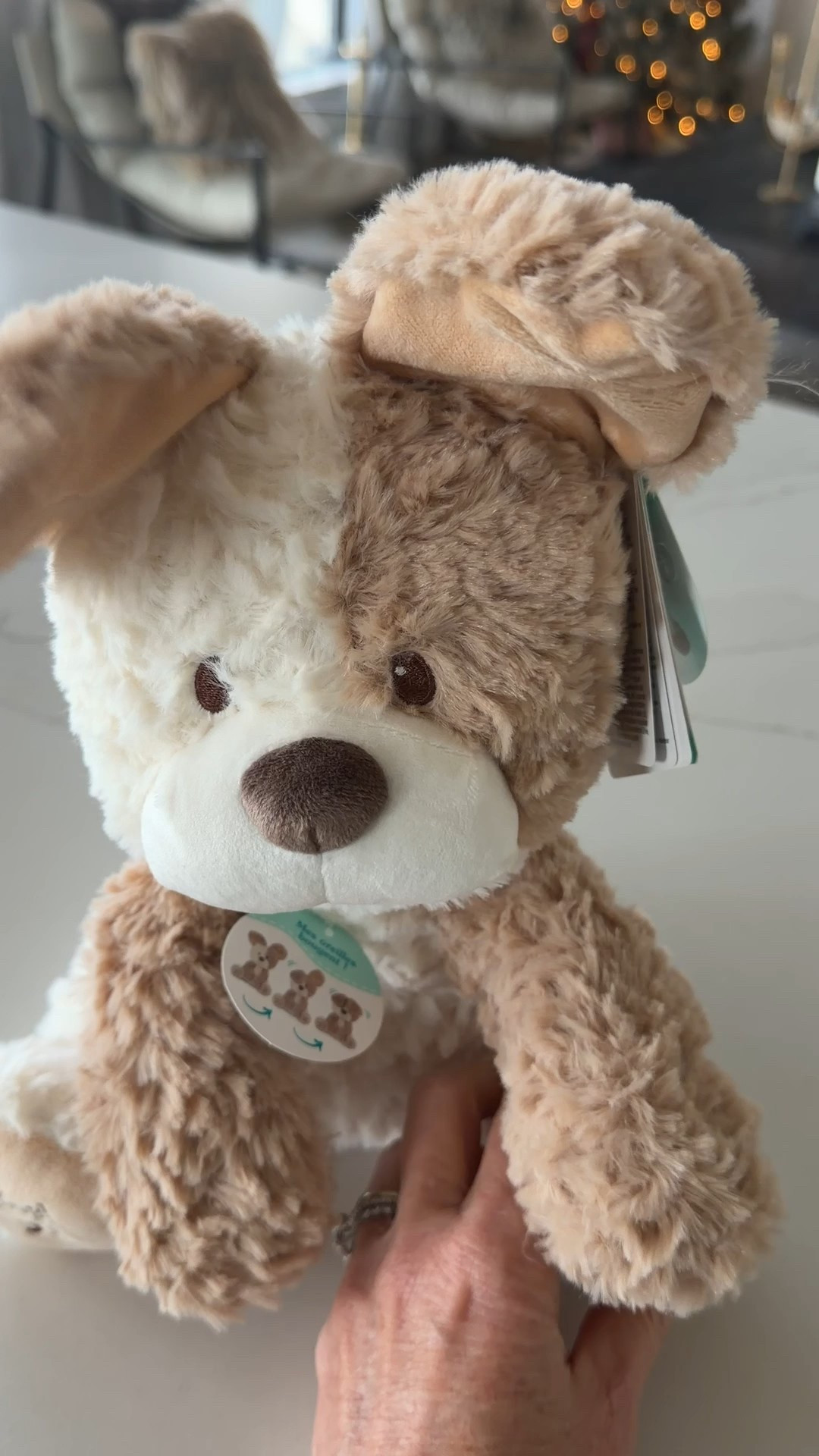 Interactive peekaboo too for babies/toddlers 

#LTKHoliday #LTKGiftGuide #LTKBaby