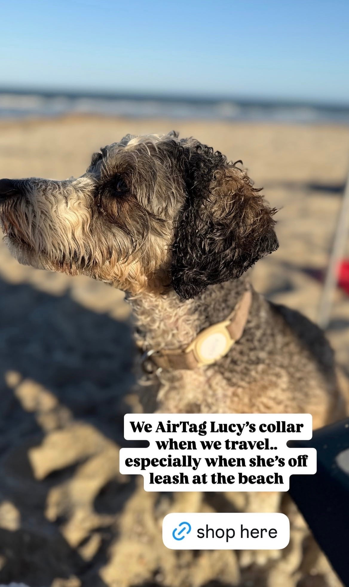 We AirTag Lucy’s dog collar when we travel! This 4 pack of AirTags is currently 35% off at @Target get

#LTKTravel #LTKSeasonal