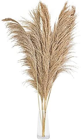 Pampas Grass Boho Decor – 5 Stems Dried Flowers for Vase. 42-46 Inches Natural Dried Pampas for... | Amazon (US)