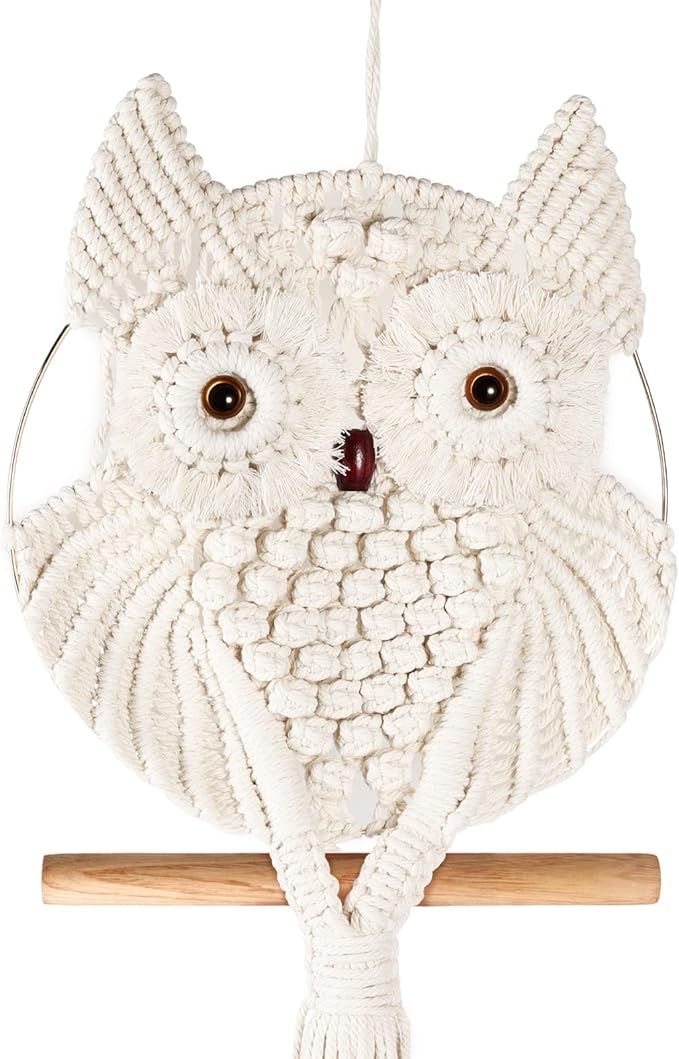 Elegant Macrame Owl Wall Hanging | Handmade Owl Wall Decor | Macrame Tapestry Art | Woven Room De... | Amazon (US)