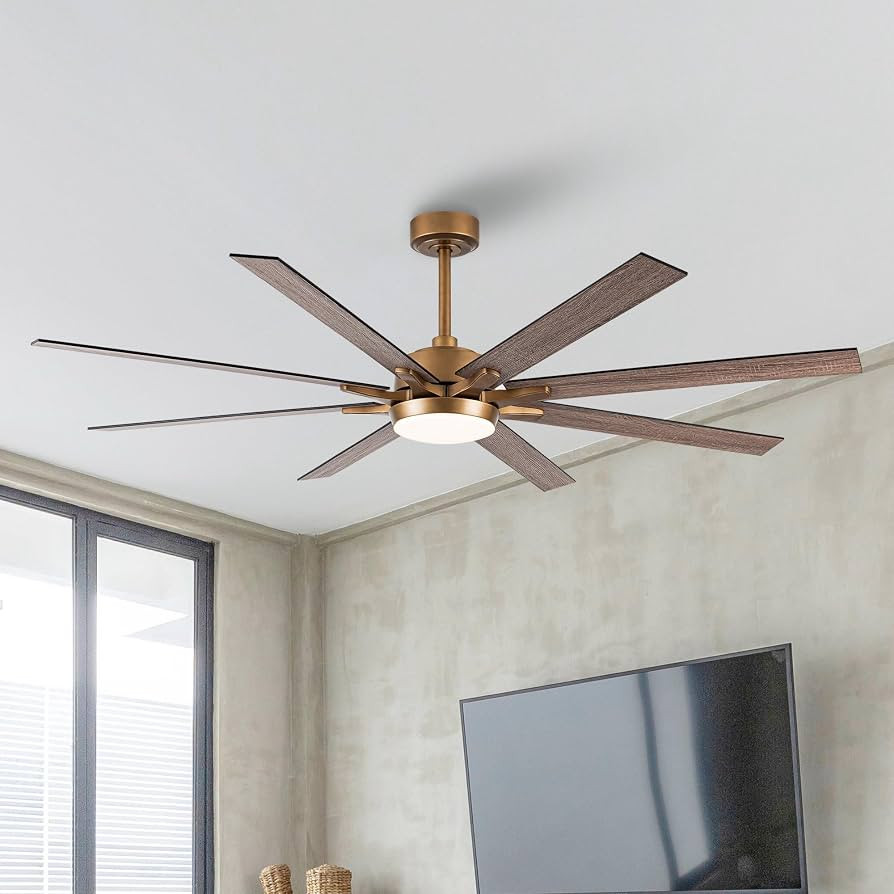 65'' Large Industrial Ceiling Fan with Light, Matte Black, 8-Blade DC Motor, 6-Speed Reversible A... | Amazon (US)