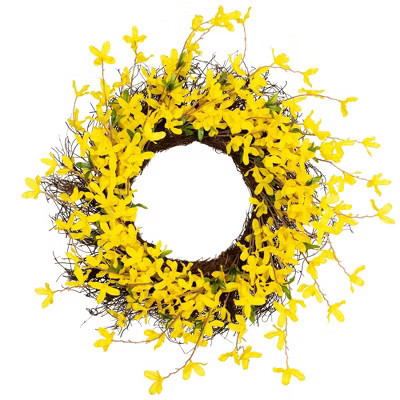 Northlight Forsythia and Grapevine Artificial Floral Wreath - Yellow - 24" | Target