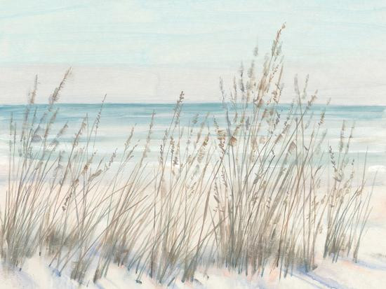 'Beach Grass II' Art Print - Tim OToole | Art.com | Art.com