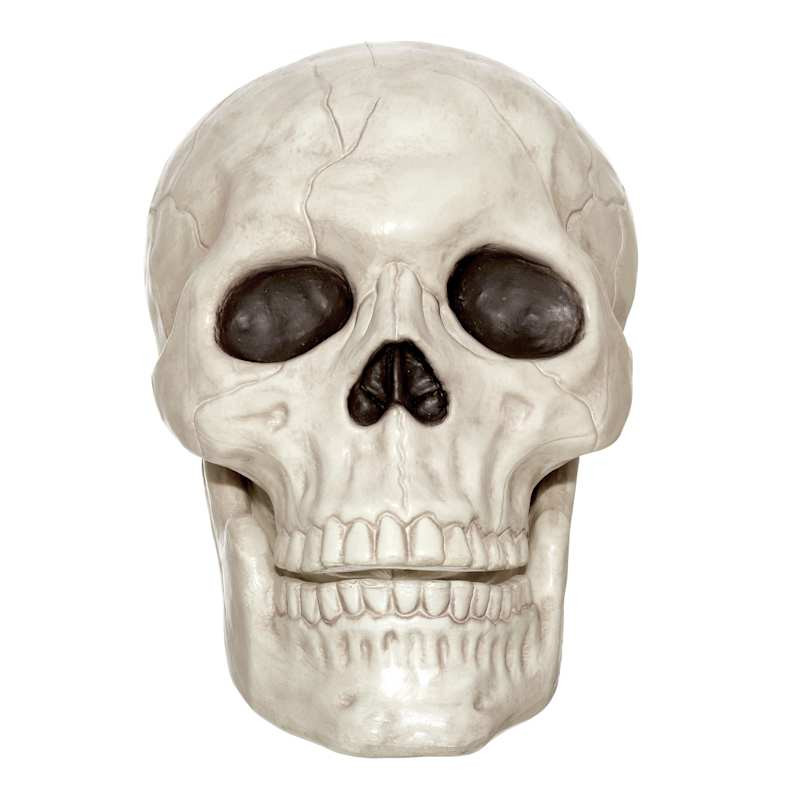 Large Halloween Skull, 10" | At Home