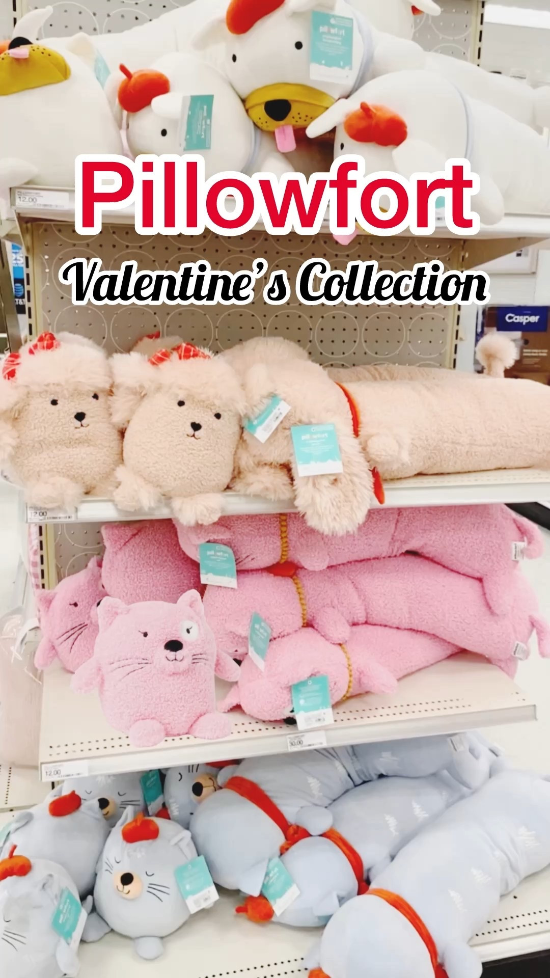 Pillowfort Valentine’s Collection @ Target!

#LTKSeasonal #LTKFindsUnder50 #LTKKids