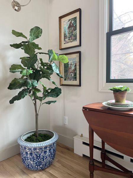Do you love to decorate with blue and white? Me too! You can see from this picture that I love to pair this porcelain fishbowl planter with faux/real trees in my home.

#LTKstyletip #LTKhome #LTKFind