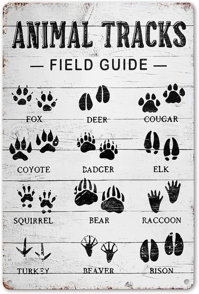 CrazySign Animal Tracks Field Guide Sign Log Cabin Wall Decor, Forest Hunting Decor, Boy Nursery ... | Amazon (US)