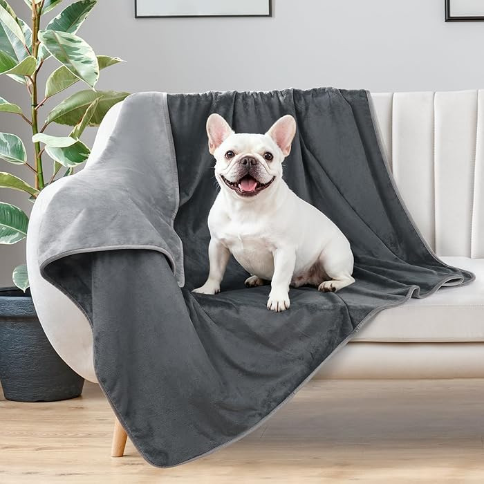 LOOBANI Waterproof Dog Blanket for Bed: Spill-Proof Puppy Blankets for Small Medium Dogs Washable... | Amazon (US)