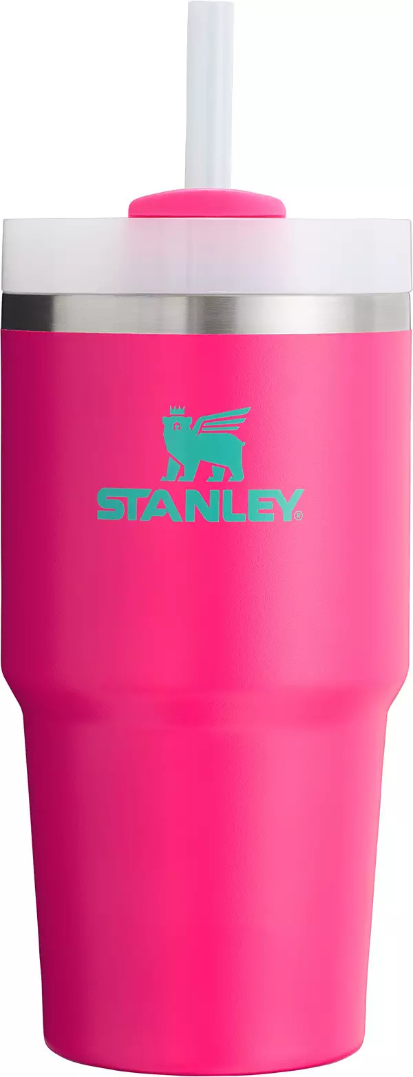 Stanley 20 oz. Quencher H2.0 FlowState Tumbler | Dick's Sporting Goods | Dick's Sporting Goods