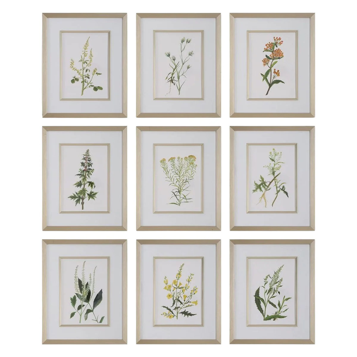 Botanical Flowers Framed Prints - Set of 9 | The Well Appointed House, LLC