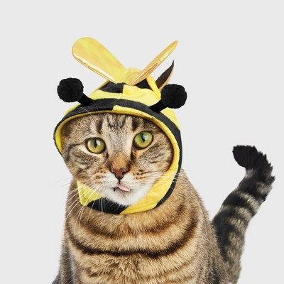 Halloween Bee Cat Costume - Hyde and EEK! Boutique™ One Size Fits Most | Target