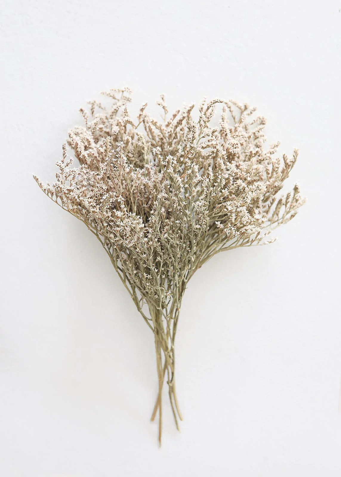 Dried German Statice - 10-15" | Afloral