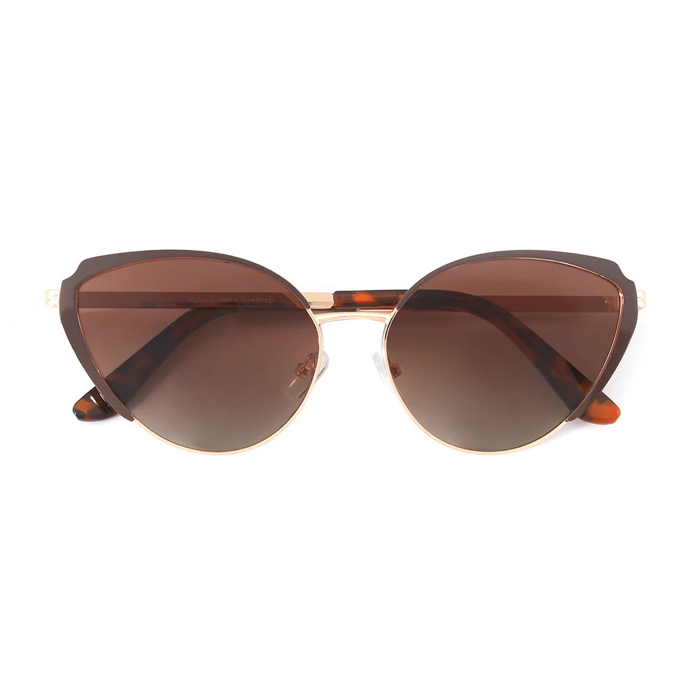 LOTUS | Gold Frame | Tortoise Tips | Brown Lens | Ryan Simkhai Eyeshop