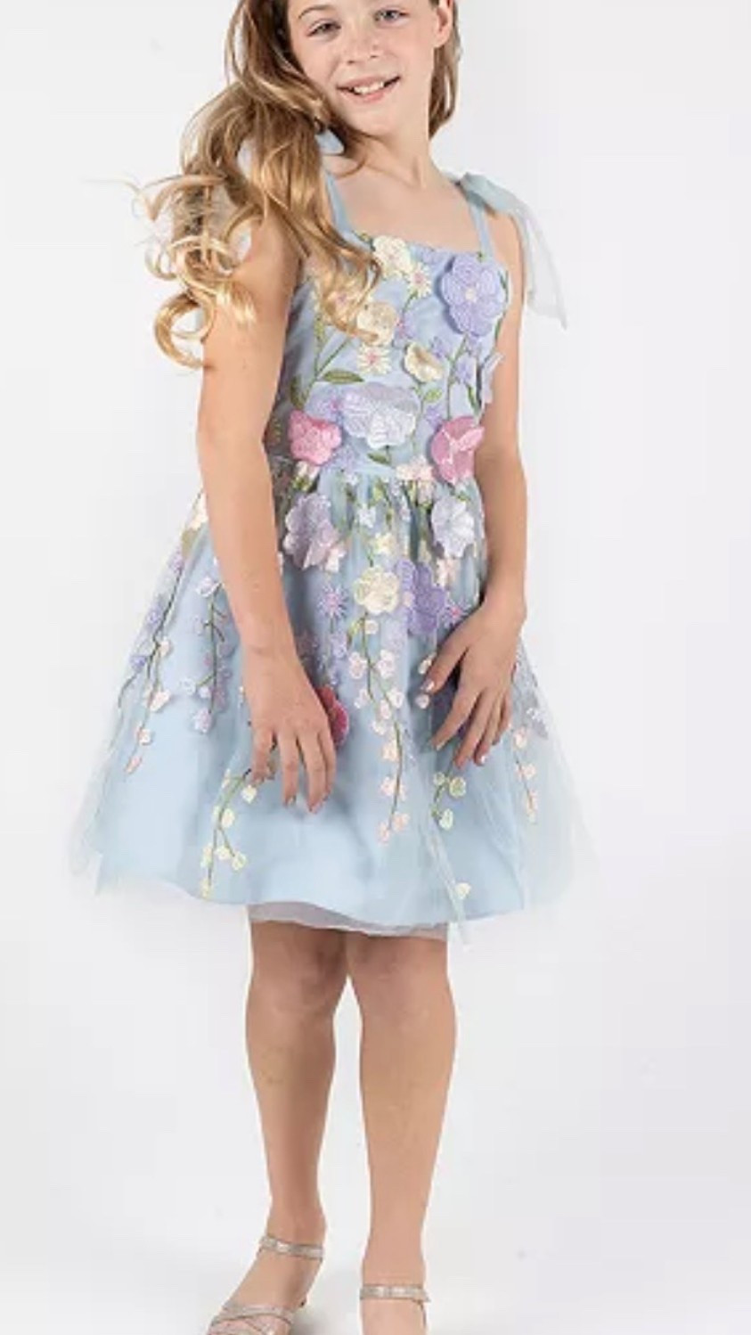 Girls Floral Embroidered Mesh Tie Strap Dress

#LTKSaleAlert #LTKootd #LTKKids