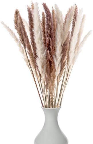 Decor Dance Brown and White Dried Pampas Grass | 30 Stems (17 inches Tall) Decorative Floral Flow... | Amazon (US)