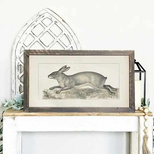 Rustic Framed Vintage Long Ear Bunny Wall Art | Antique Farm House