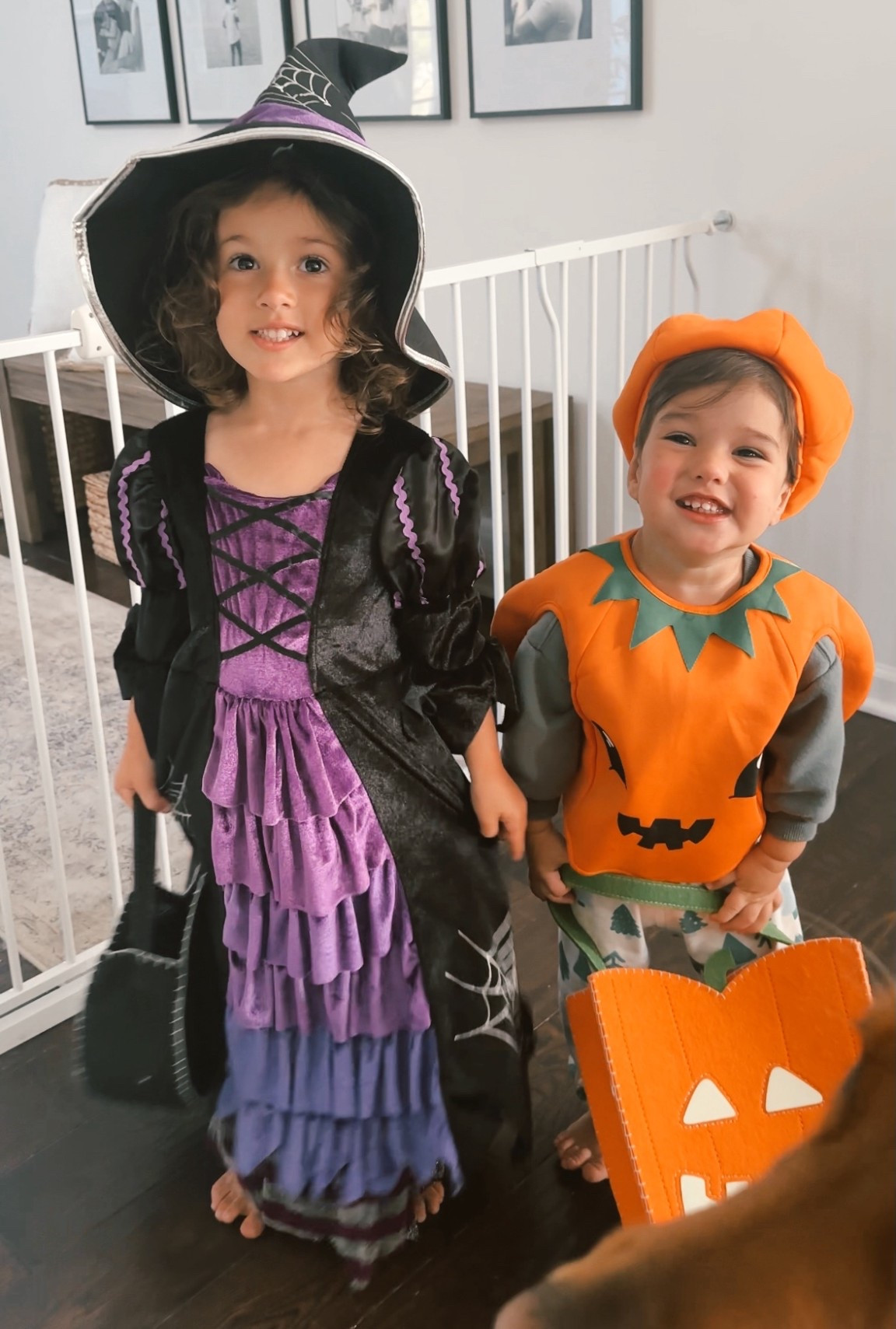 Cutest witch costume with Halloween bags that glow in the dark from pottery barn kids 

#LTKKids #LTKBaby #LTKSeasonal