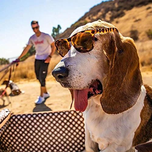 Goodr Sunglasses - Bosley's Basset Hound Dreams - Walmart.com | Walmart (US)