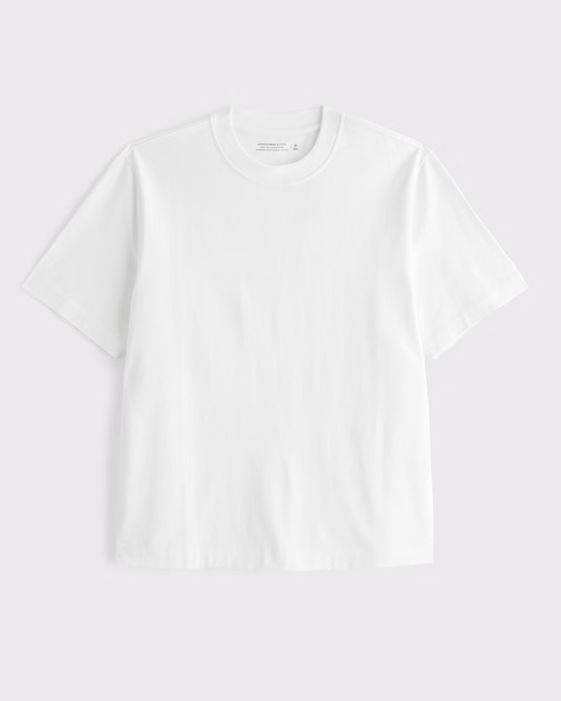 Abercrombie & Fitch Men's Premium Heavyweight 2.0 Tee in White - Size L | Abercrombie & Fitch (US)