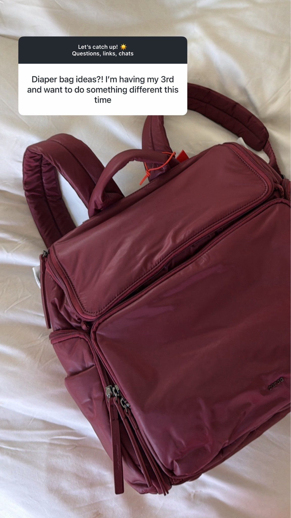 Loving this diaper bag so far!