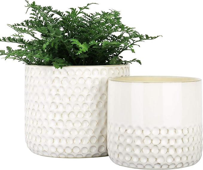 LA JOLIE MUSE Ceramic Planter Flower Plant Pots- 6.7+5.5 Inch Concave Dot Patterned Cylinder Flow... | Amazon (US)
