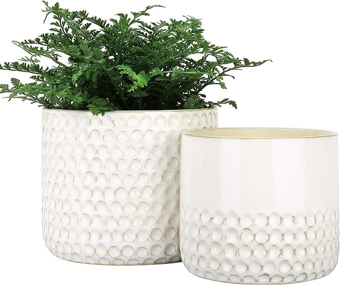 LA JOLIE MUSE Ceramic Planter Flower Plant Pots- 6.7+5.5 Inch Concave Dot Patterned Cylinder Flow... | Amazon (US)