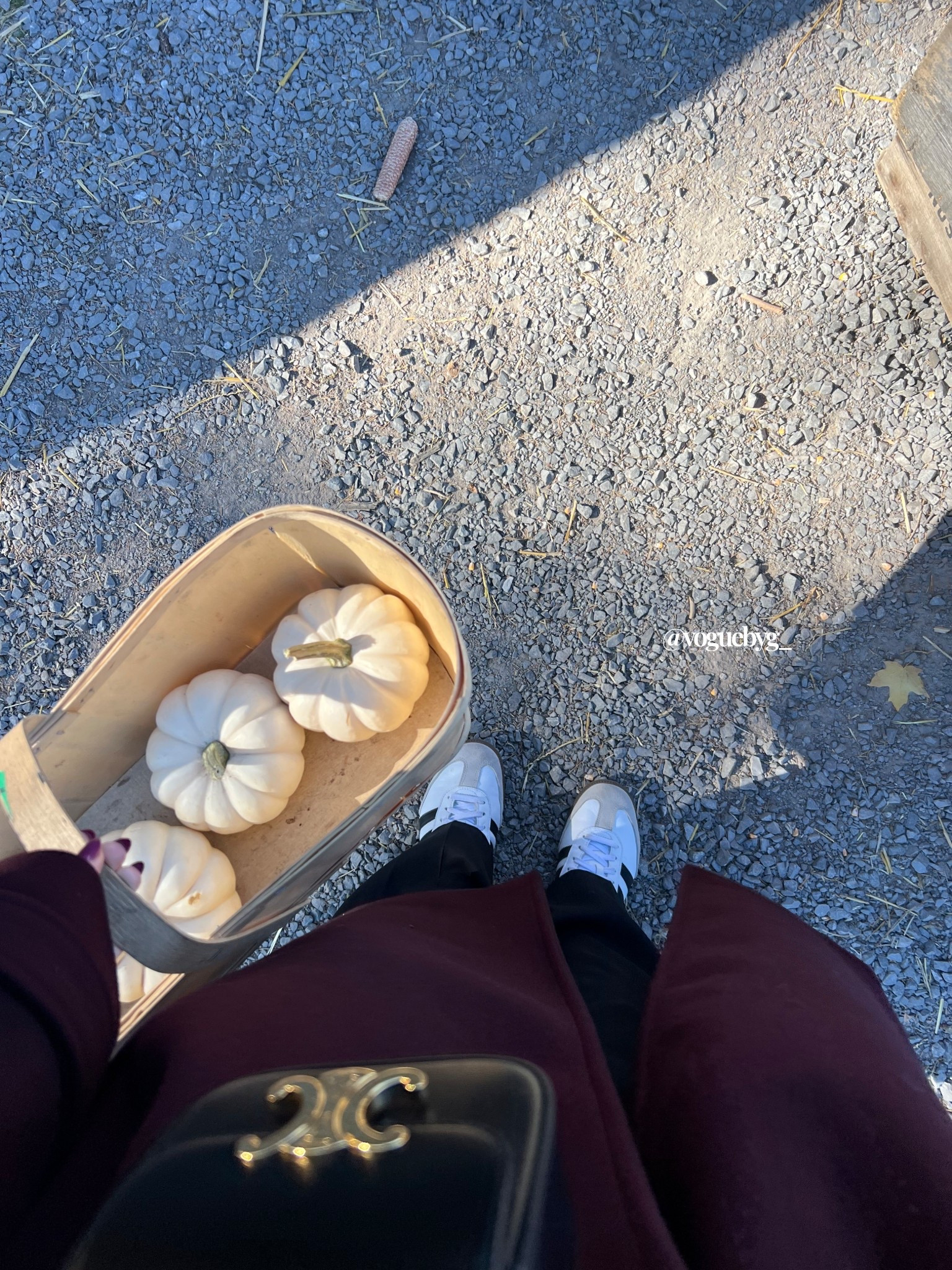 🍁🍂

#LTKcanada #LTKfall #LTKmodest