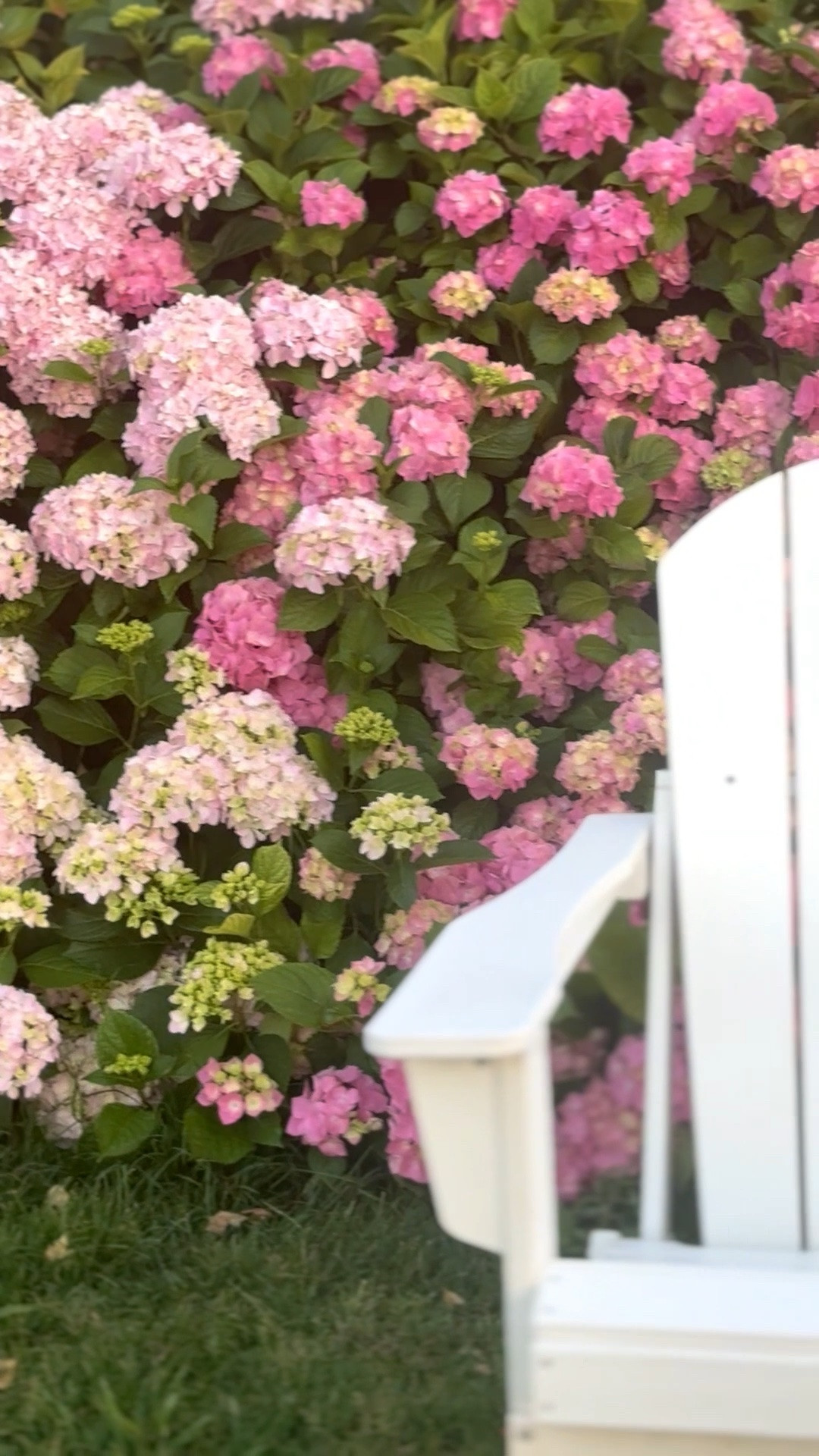 Coastal grandmother classic outdoor furniture and pink hydrangeas 💗

#LTKdayinmylife #LTKSaleAlert #LTKHome