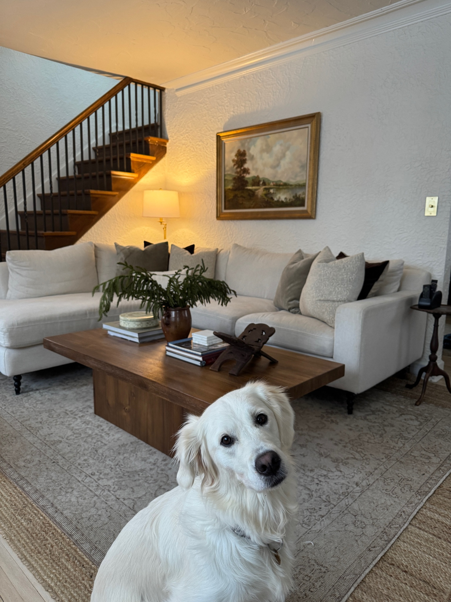 Updated living room sources! 

Top rug is vintage from Etsy :) 

#LTKHome #LTKStyleTip