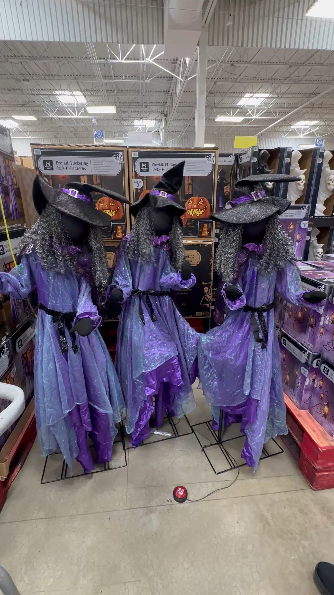 Okayyyy Sam’s… HOW CUTE are these?! 🧙‍♀️💜

The THREE witches together?! I’m confirming I absolutely need these for Halloween. 😂

Linking them because I know I’m not the only one.

#LTKdayinmylife #LTKSeasonal #LTKHome