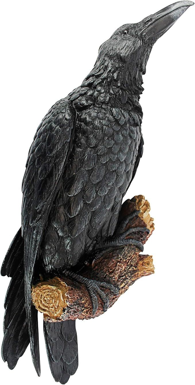 Design Toscano The Raven's Perch Gothic Decor Wall Sculpture, Single | Amazon (US)