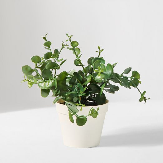 Faux Eucalyptus Potted Plant | West Elm (US)